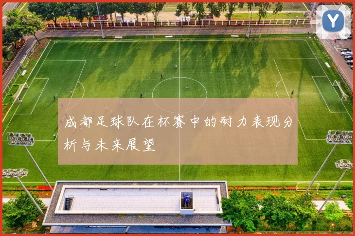 成都足球队在杯赛中的耐力表现分析与未来展望